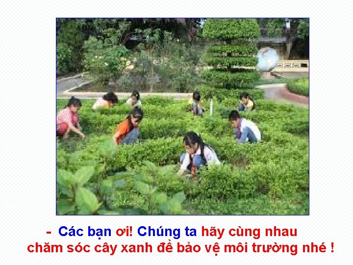 - Các bạn ơi! Chúng ta hãy cùng nhau chăm sóc cây xanh để