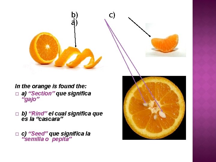 b) a) In the orange is found the: � a) “Section” que significa “gajo”