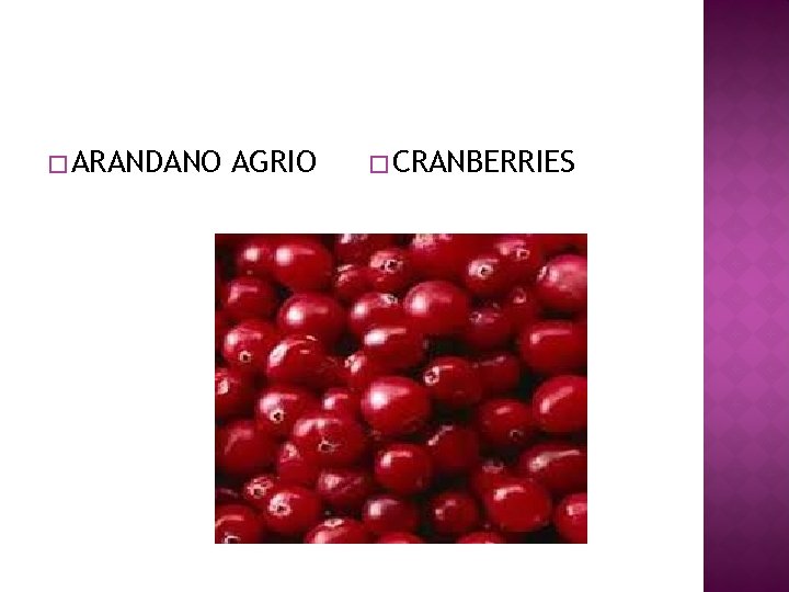 � ARANDANO AGRIO � CRANBERRIES 