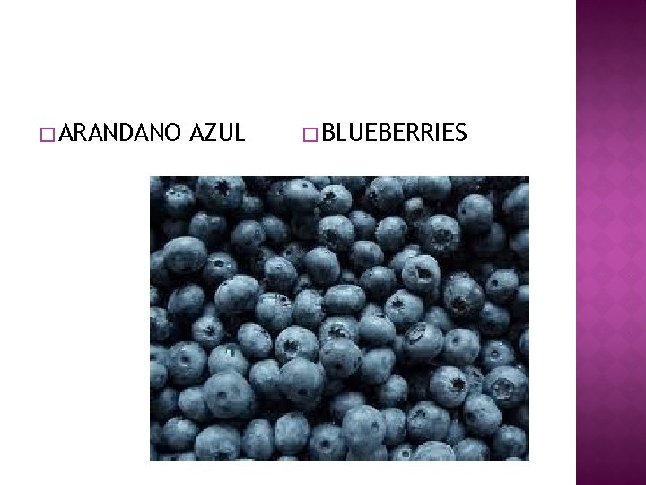 � ARANDANO AZUL � BLUEBERRIES 