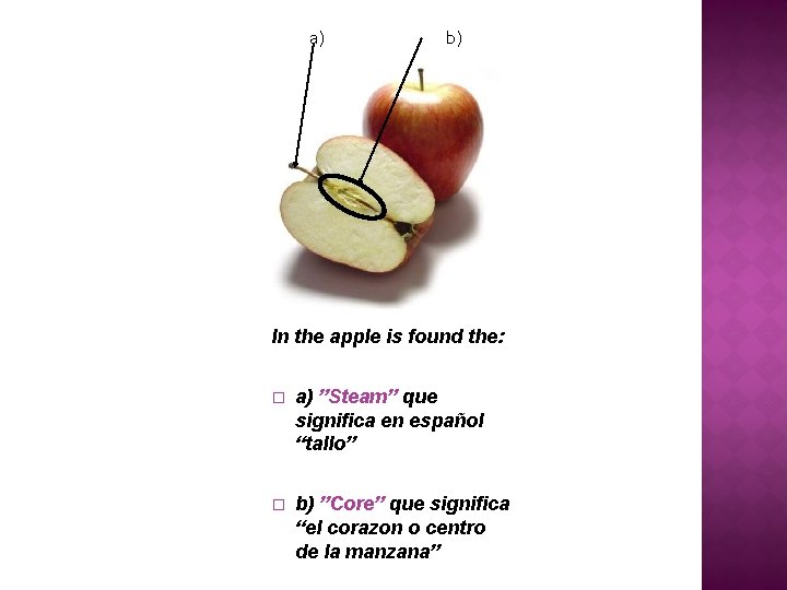 a) b) In the apple is found the: � a) ”Steam” que significa en