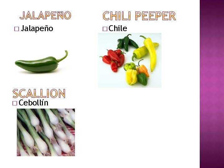 � Jalapeño � Cebollín � Chile 