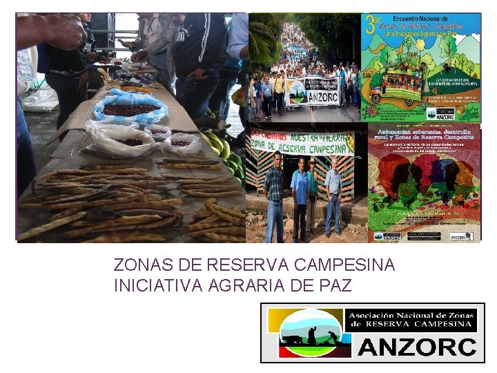 + ZONAS DE RESERVA CAMPESINA INICIATIVA AGRARIA DE PAZ 