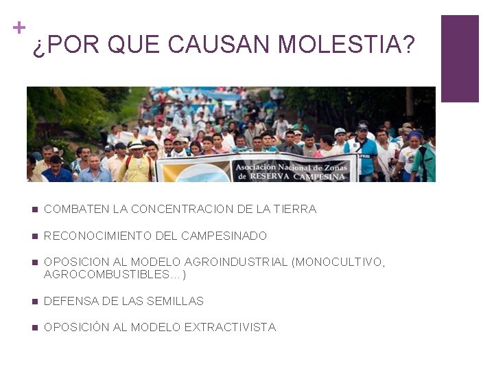 + ¿POR QUE CAUSAN MOLESTIA? n COMBATEN LA CONCENTRACION DE LA TIERRA n RECONOCIMIENTO