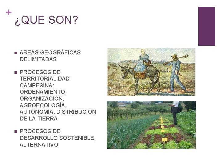 + ¿QUE SON? n AREAS GEOGRÁFICAS DELIMITADAS n PROCESOS DE TERRITORIALIDAD CAMPESINA: ORDENAMIENTO, ORGANIZACIÓN,