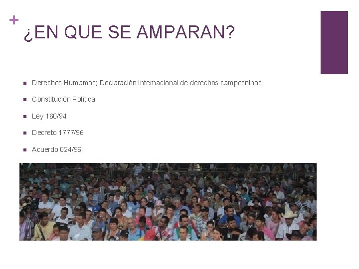 + ¿EN QUE SE AMPARAN? n Derechos Humamos; Declaración Internacional de derechos campesninos n