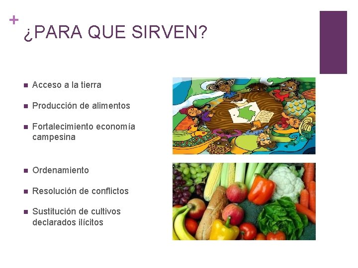 + ¿PARA QUE SIRVEN? n Acceso a la tierra n Producción de alimentos n