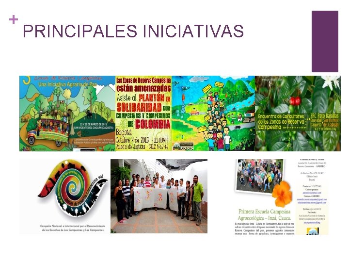 + PRINCIPALES INICIATIVAS 