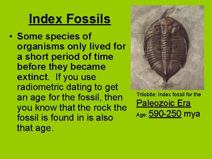 Index Fossils • Some species of organisms only lived for a short period of