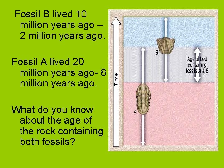 Fossil B lived 10 million years ago – 2 million years ago. Fossil A