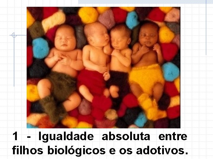 1 - Igualdade absoluta entre filhos biológicos e os adotivos. 