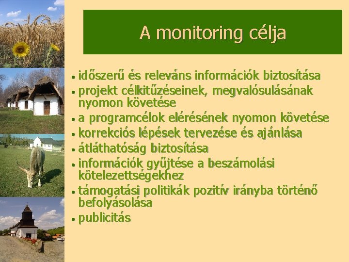 A monitoring célja időszerű és releváns információk biztosítása • projekt célkitűzéseinek, megvalósulásának nyomon követése