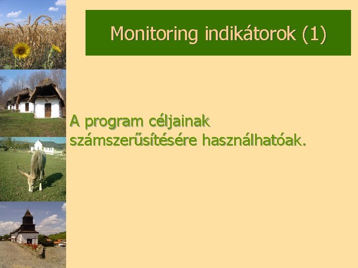 Monitoring indikátorok (1) A program céljainak számszerűsítésére használhatóak. 