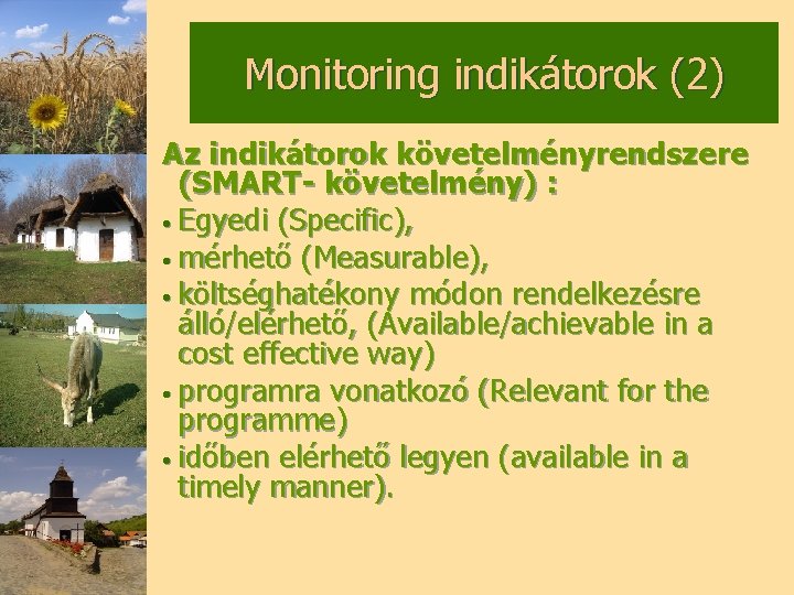 Monitoring indikátorok (2) Az indikátorok követelményrendszere (SMART- követelmény) : • Egyedi (Specific), • mérhető