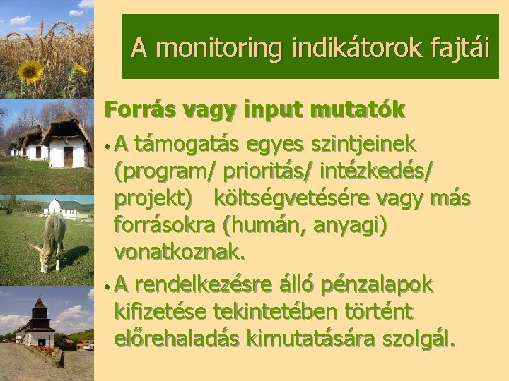 A monitoring indikátorok fajtái Forrás vagy input mutatók • A támogatás egyes szintjeinek (program/