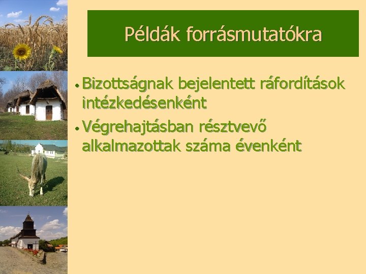 Példák forrásmutatókra • Bizottságnak bejelentett ráfordítások intézkedésenként • Végrehajtásban résztvevő alkalmazottak száma évenként 