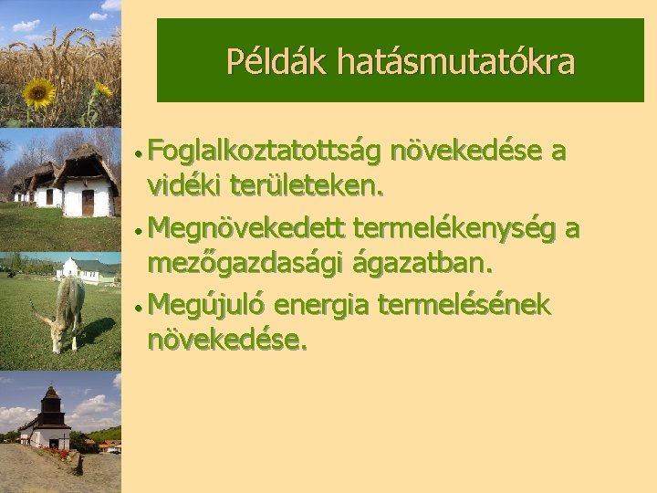 Példák hatásmutatókra • Foglalkoztatottság növekedése a vidéki területeken. • Megnövekedett termelékenység a mezőgazdasági ágazatban.