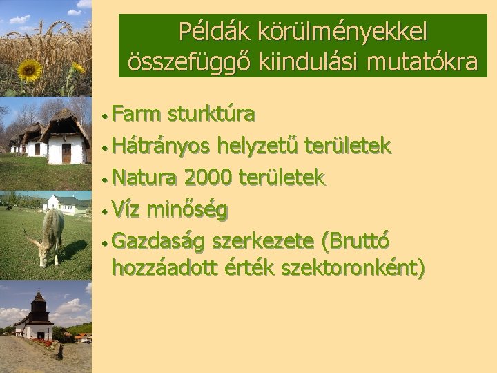 Példák körülményekkel összefüggő kiindulási mutatókra • Farm sturktúra • Hátrányos helyzetű területek • Natura