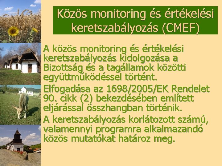 Közös monitoring és értékelési keretszabályozás (CMEF) A közös monitoring és értékelési keretszabályozás kidolgozása a