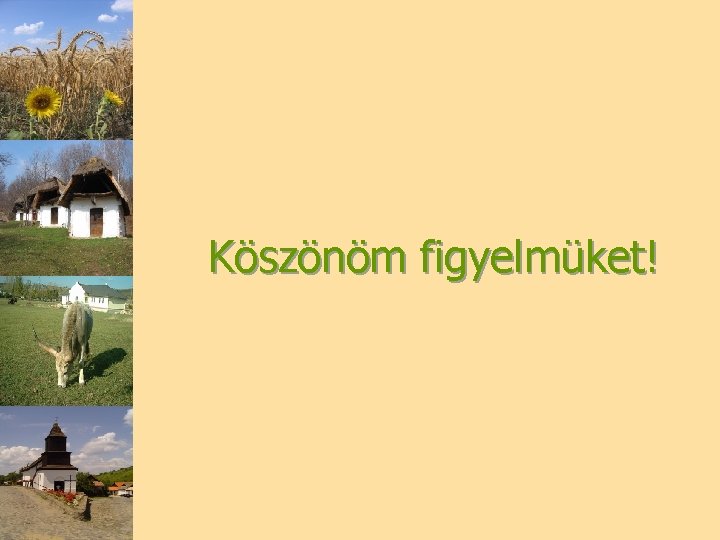 Köszönöm figyelmüket! 