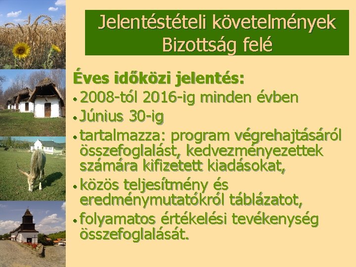 Jelentéstételi követelmények Bizottság felé Éves időközi jelentés: • 2008 -tól 2016 -ig minden évben