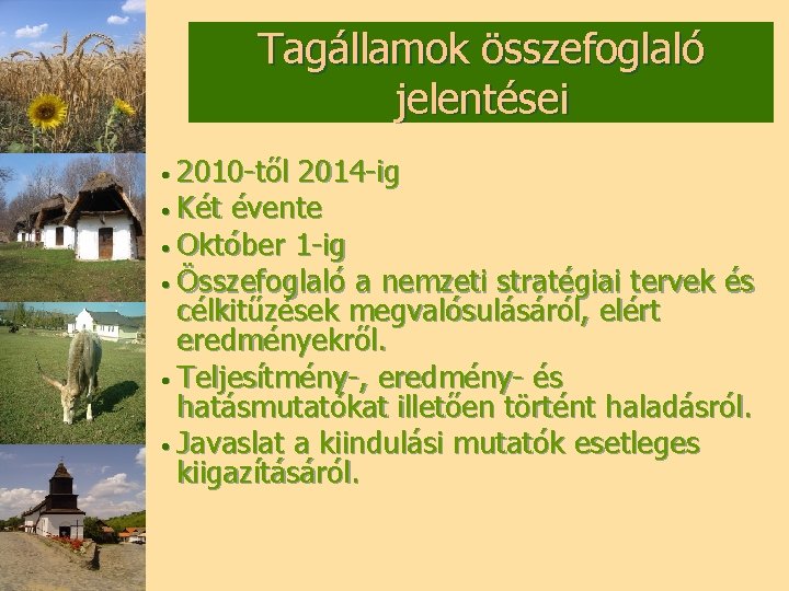 Tagállamok összefoglaló jelentései • 2010 -től 2014 -ig • Két évente • Október 1