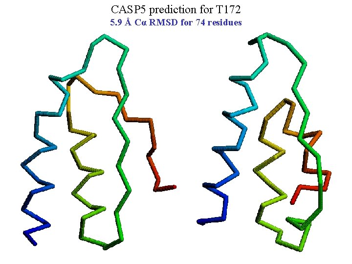 CASP 5 prediction for T 172 5. 9 Å Cα RMSD for 74 residues