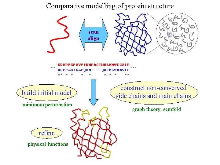 Comparative modelling of protein structure scan align … KDHPFGFAVPTKNPDGTMNLMNWECAIP KDPPAGIGAPQDN----QNIMLWNAVIP ** * * *