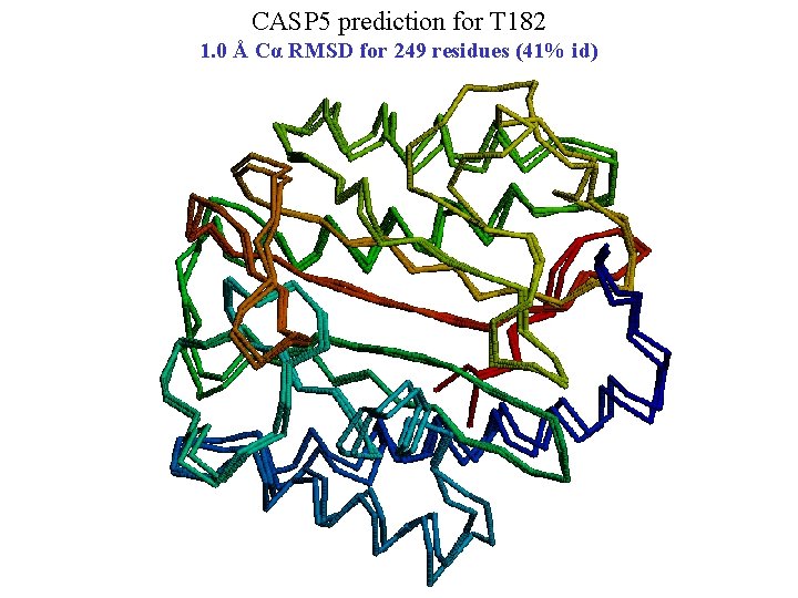 CASP 5 prediction for T 182 1. 0 Å Cα RMSD for 249 residues
