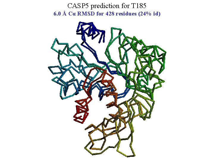 CASP 5 prediction for T 185 6. 0 Å Cα RMSD for 428 residues