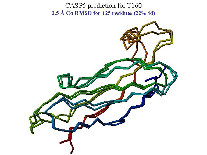 CASP 5 prediction for T 160 2. 5 Å Cα RMSD for 125 residues