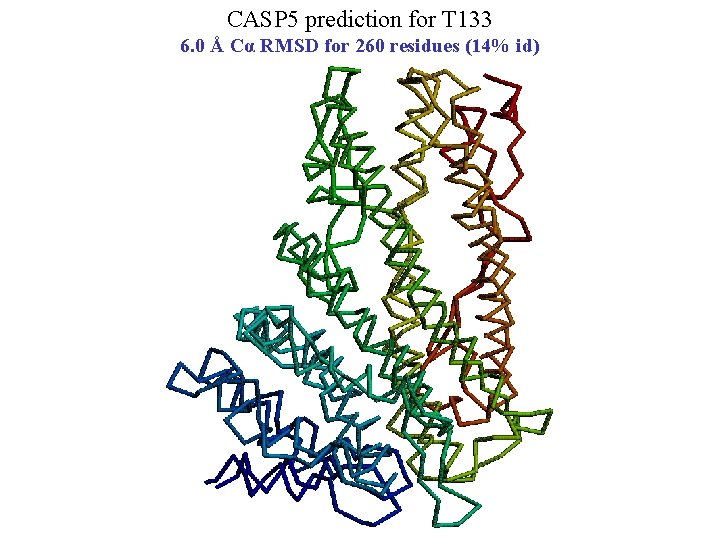 CASP 5 prediction for T 133 6. 0 Å Cα RMSD for 260 residues