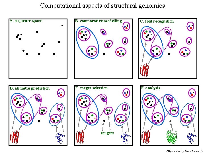 Computational aspects of structural genomics A. sequence space B. comparative modelling * * C.