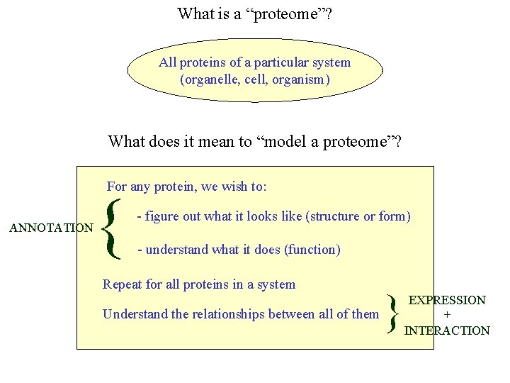 What is a “proteome”? All proteins of a particular system (organelle, cell, organism) What