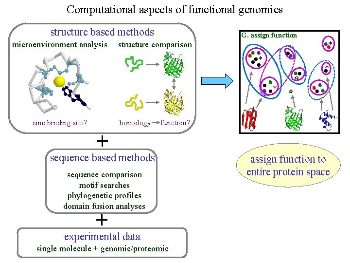 Computational aspects of functional genomics structure based methods microenvironment analysis G. assign function structure