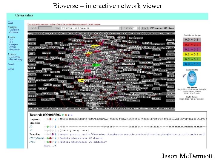 Bioverse – interactive network viewer Jason Mc. Dermott 