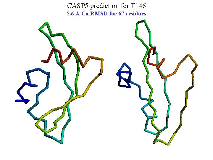CASP 5 prediction for T 146 5. 6 Å Cα RMSD for 67 residues