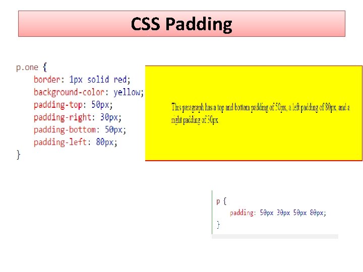 CSS Padding 