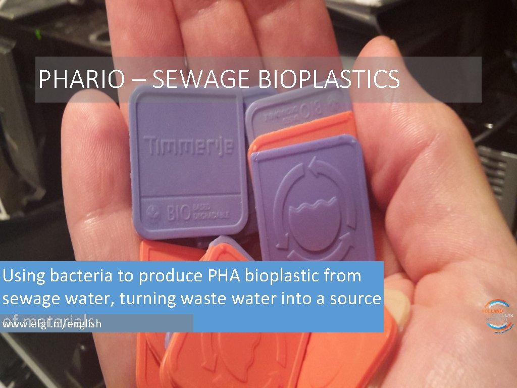 PHARIO – SEWAGE BIOPLASTICS Using bacteria to produce PHA bioplastic from sewage water, turning