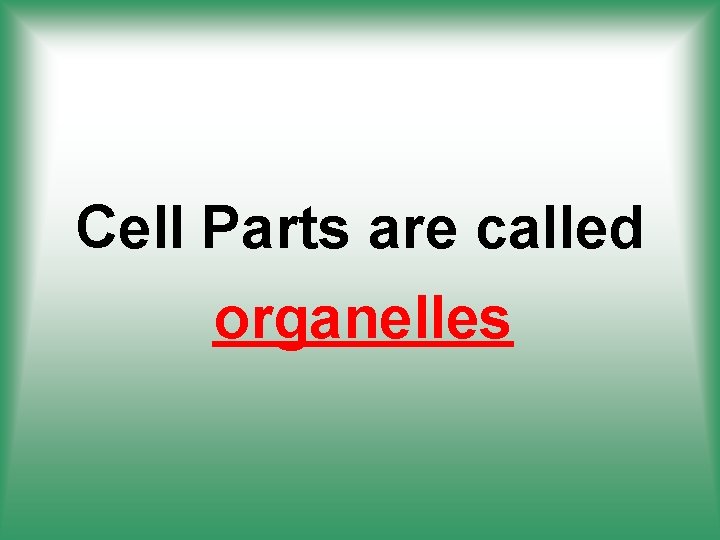 Cell Parts are called organelles 
