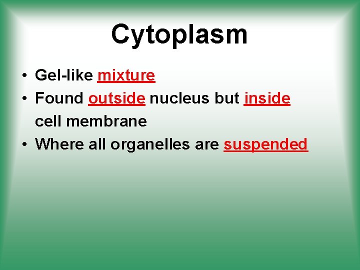 Cytoplasm • Gel-like mixture • Found outside nucleus but inside cell membrane • Where