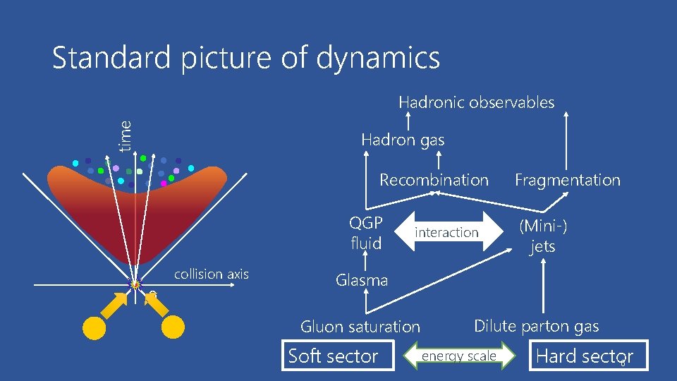 Standard picture of dynamics time Hadronic observables Hadron gas Recombination QGP fluid collision axis