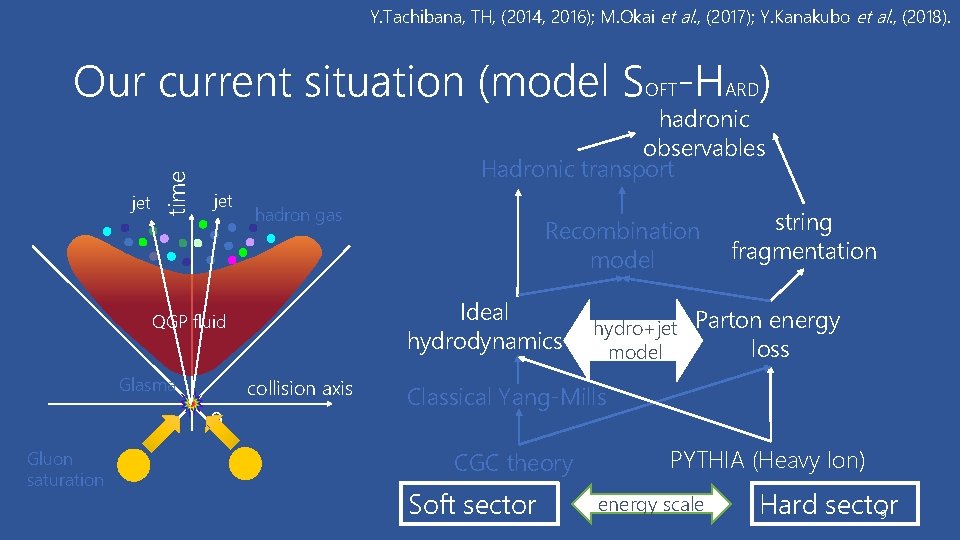 Y. Tachibana, TH, (2014, 2016); M. Okai et al. , (2017); Y. Kanakubo et