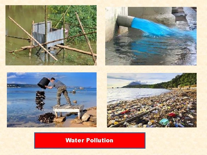 Water Pollution 