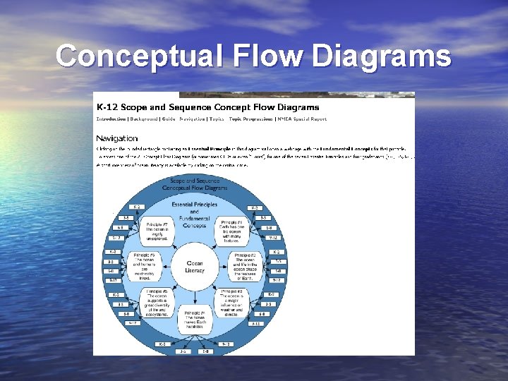 Conceptual Flow Diagrams 