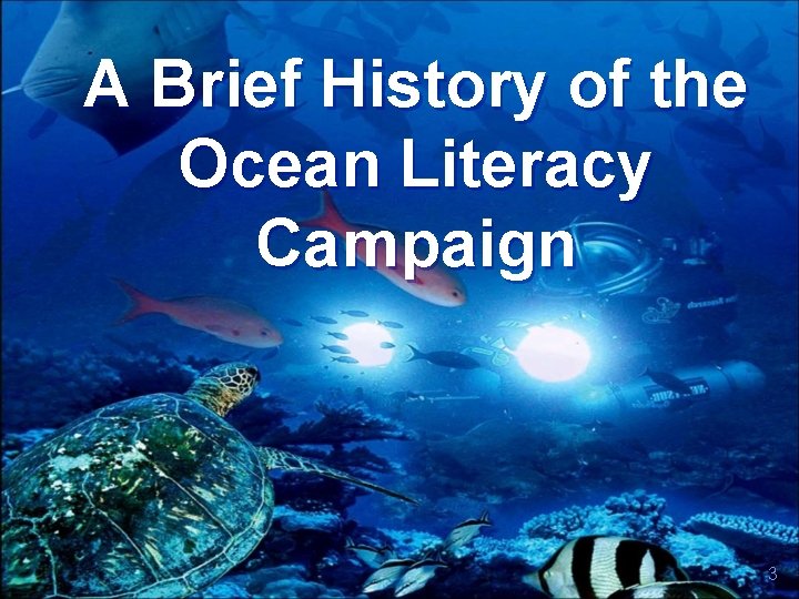 A Brief History of the Ocean Literacy Campaign 3 