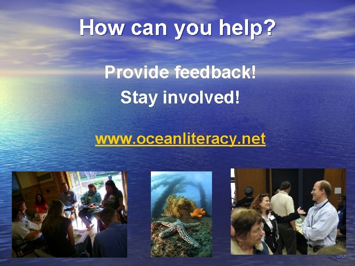 How can you help? Provide feedback! Stay involved! www. oceanliteracy. net 38 