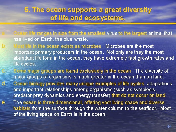 5. The ocean supports a great diversity of life and ecosystems. a. b. c.