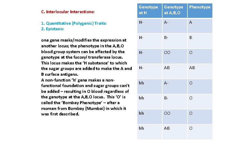 C. Interlocular Interactions: 1. Quantitative (Polygenic) Traits: 2. Epistasis: one gene masks/modifies the expression