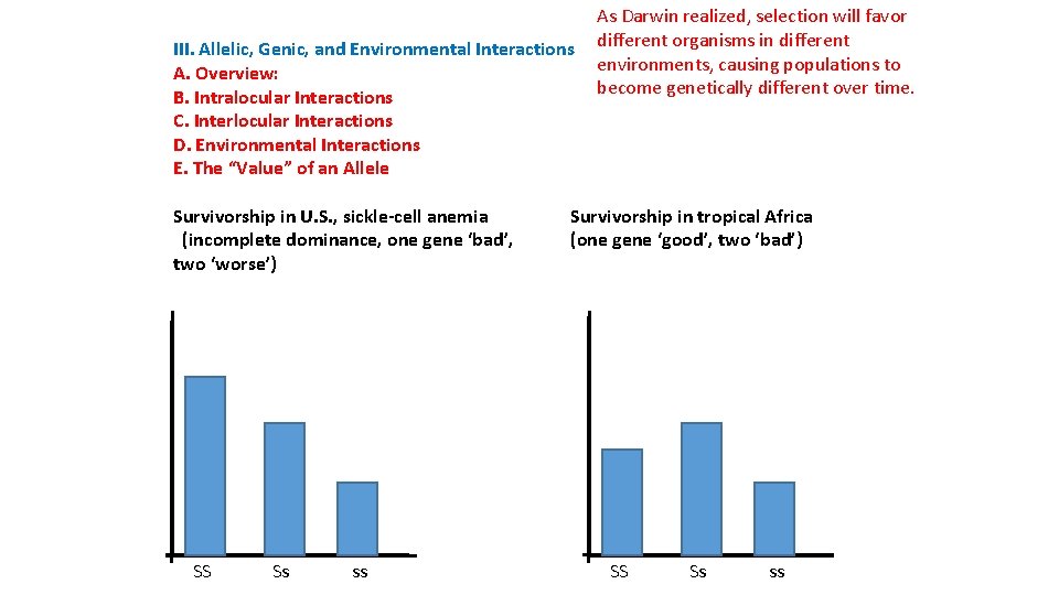 III. Allelic, Genic, and Environmental Interactions A. Overview: B. Intralocular Interactions C. Interlocular Interactions